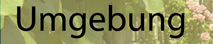 Umgebung